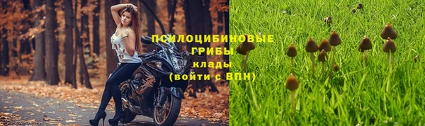 таблы Алексеевка
