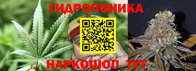 МДМА Новозыбков