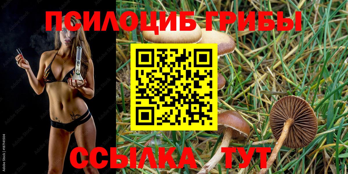 Галлюциногенные грибы прущие грибы Арзамас