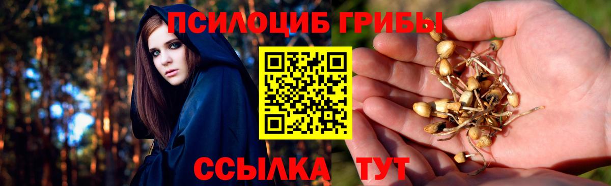 Галлюциногенные грибы мицелий  Вход с VPN  Арзамас 
