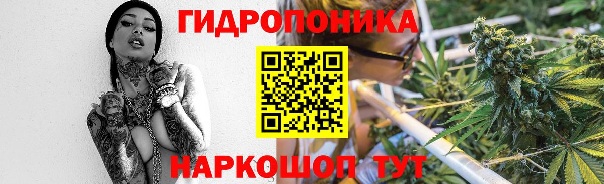 Конопля Amnesia  Вход с VPN  Бошки Шишки сатива  Конопля планчик  Арзамас 